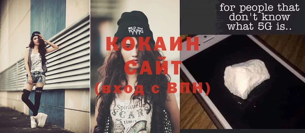 гашик Россошь