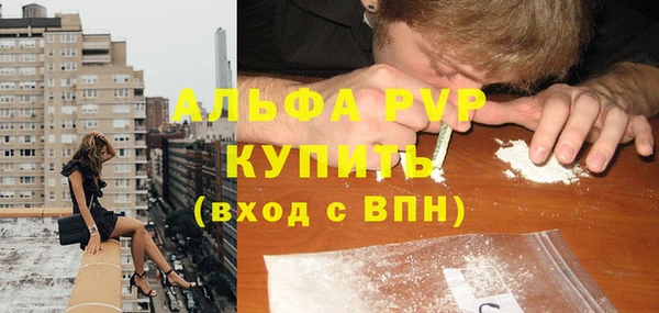 крисы Ростов