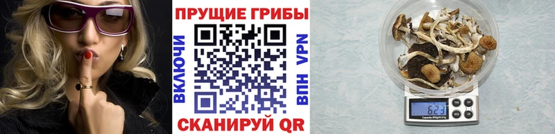 Псилоцибиновые грибы Psilocybe  продажа наркотиков  Нариманов 